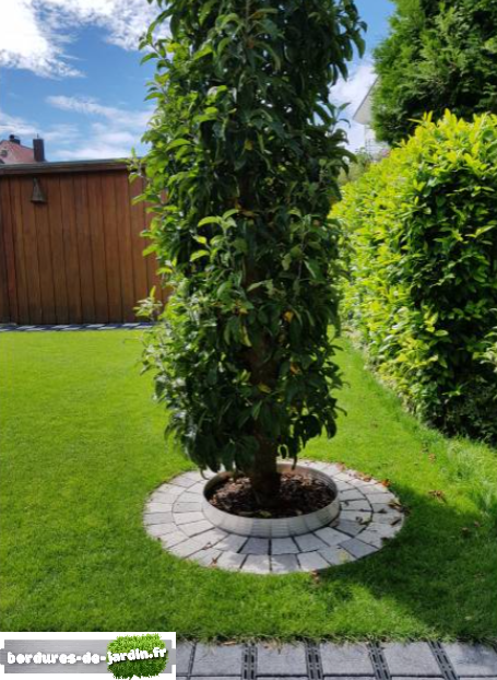 idée déco entourer pied arbre pavé pierre