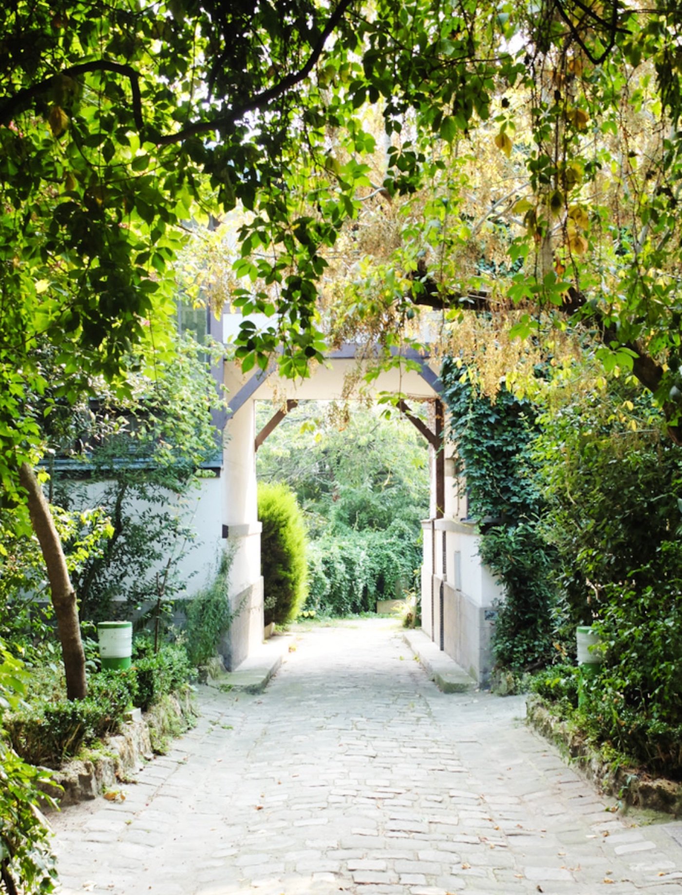 jardin cite fleurie plante verte pierre grise