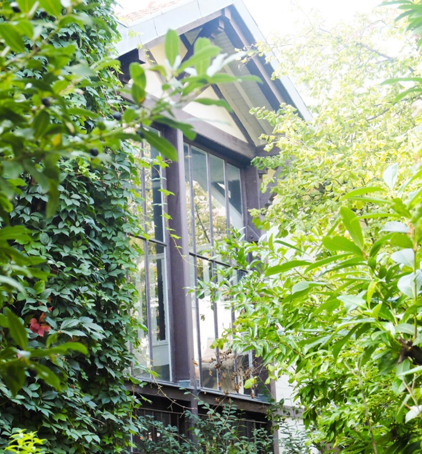 maison atelier artiste chalet bois marron blanc jardin fleuri