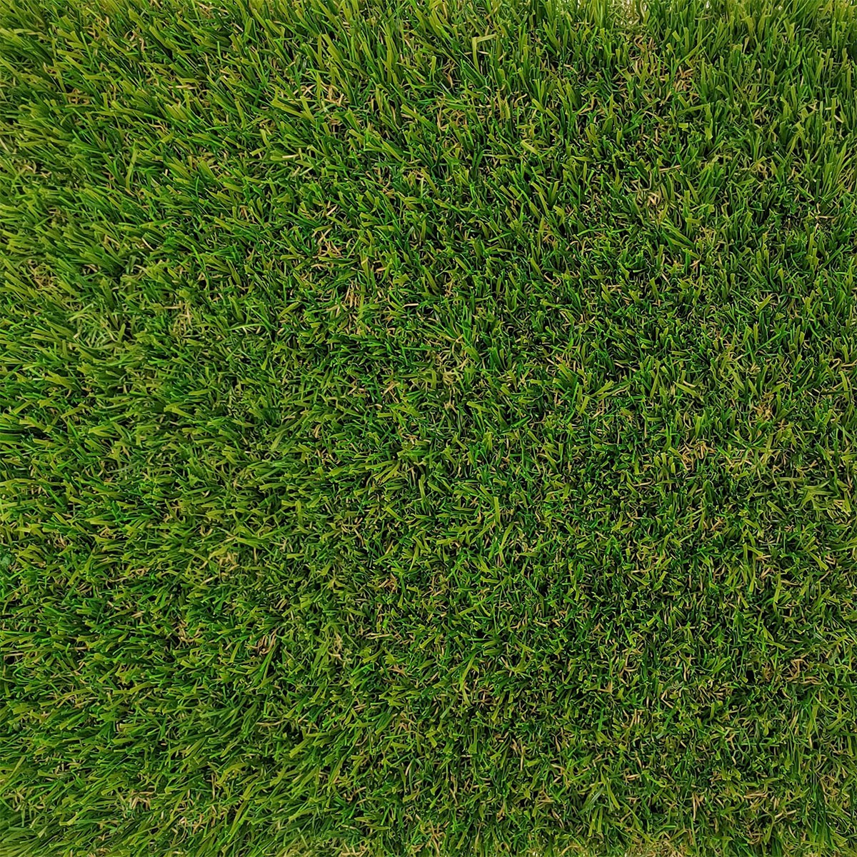 sol effet pelouse artificielle durable