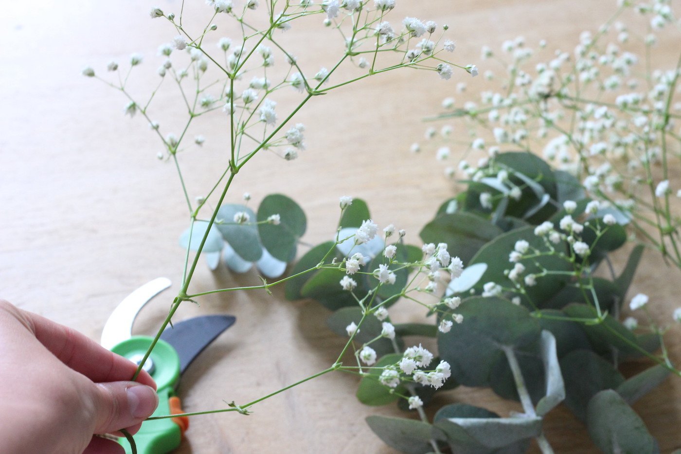 Gypsophile éternel eucalyptus pour bouquet immortel