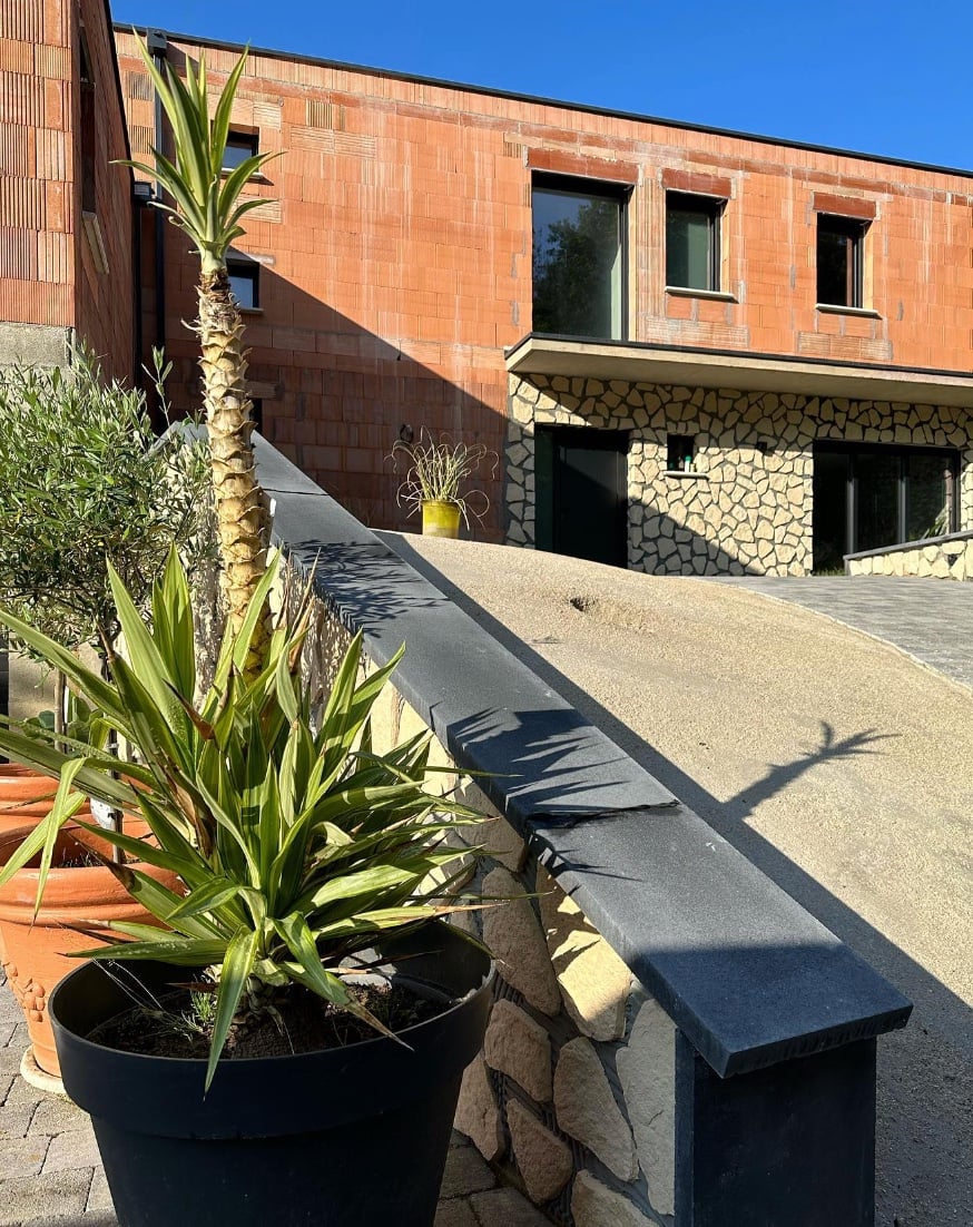 maison travaux plante verte exterieur design