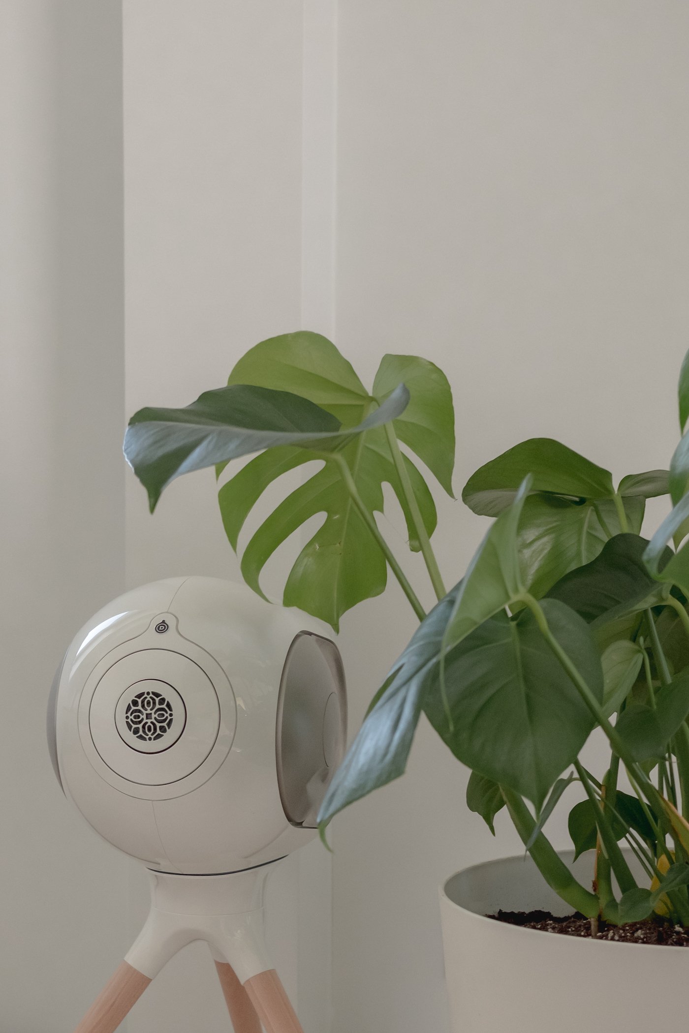 plante intérieur monstera enceinte design Devialet