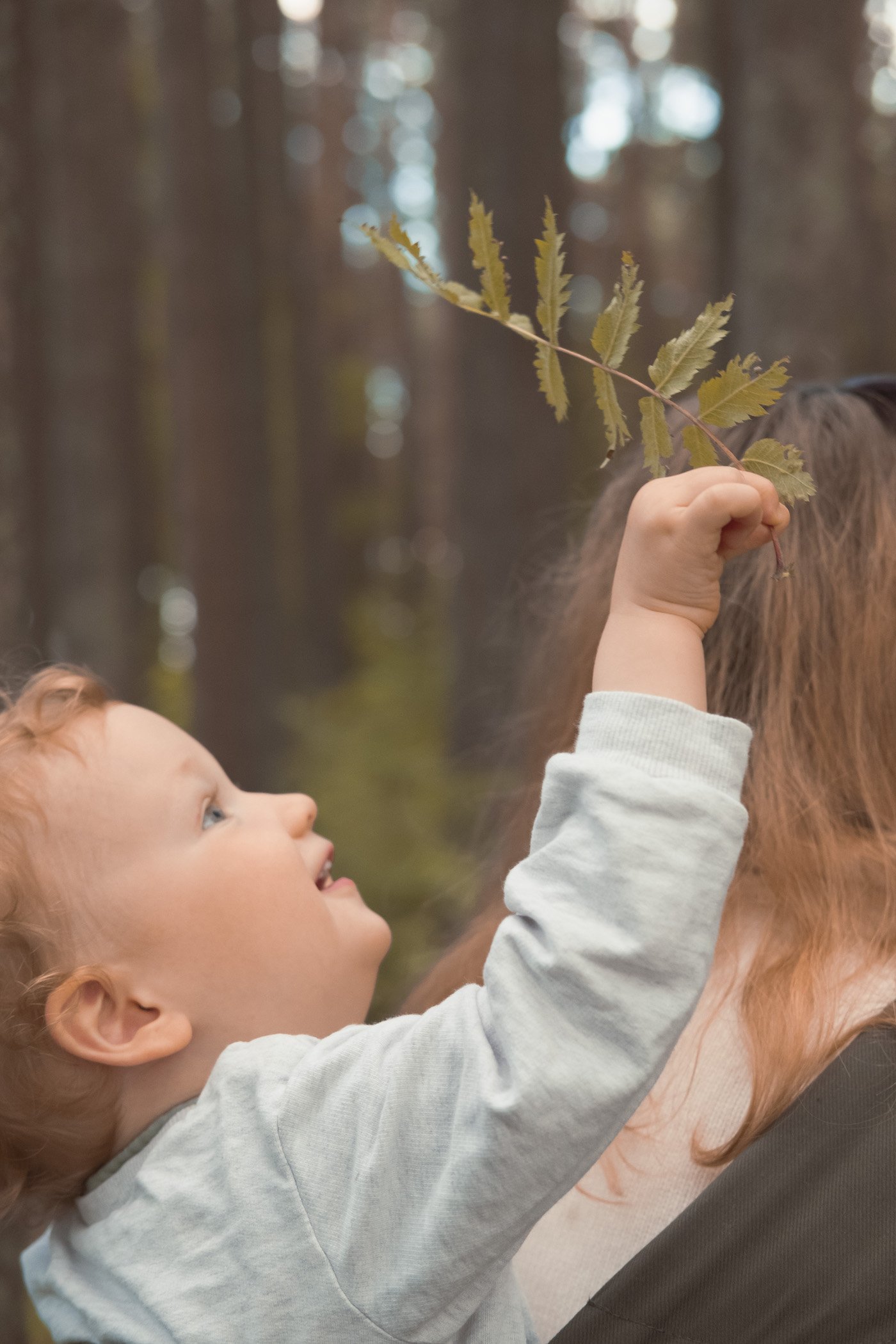 activité éveil jeune enfant 2 ans balade forêt