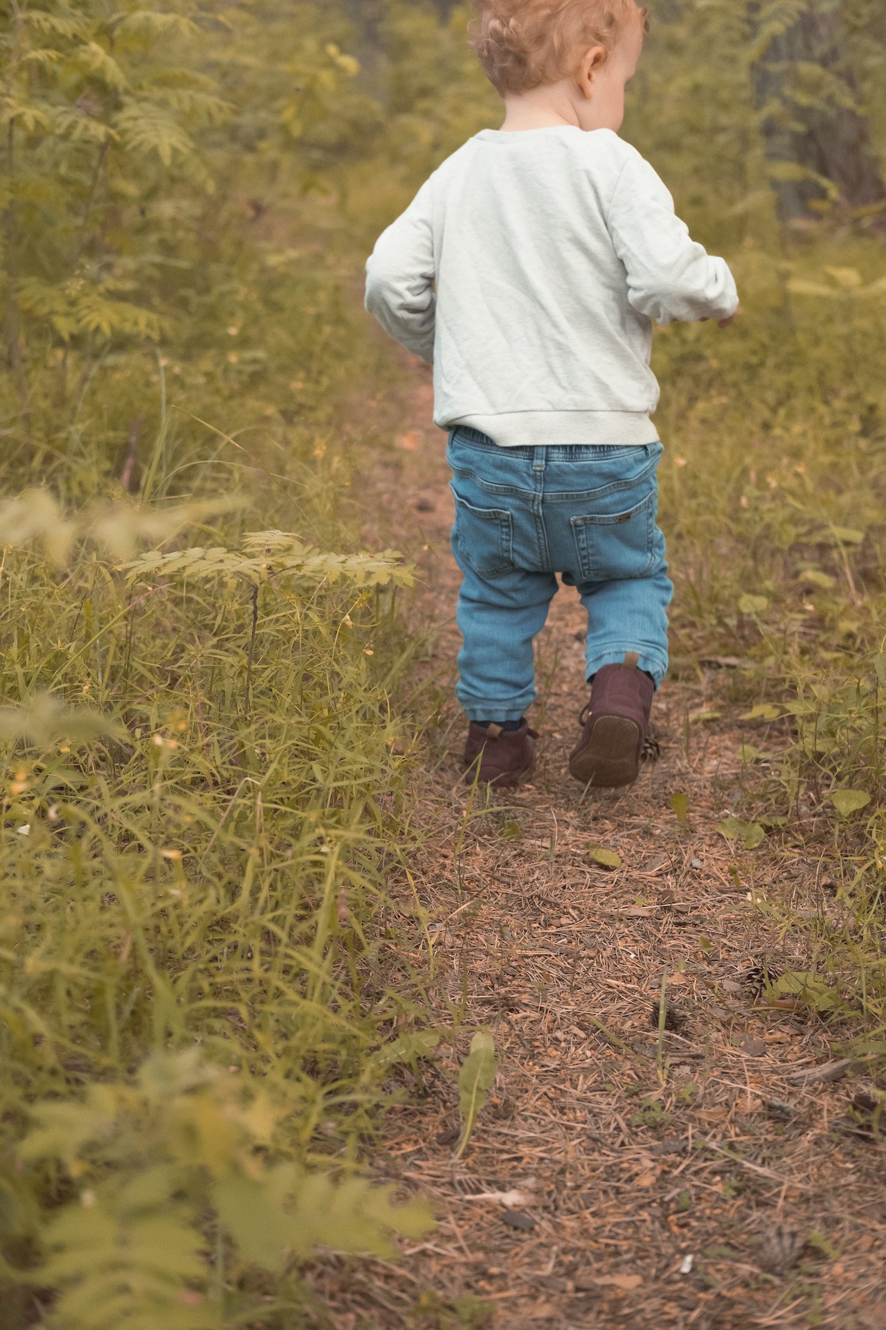 balade forêt estonienne nature Tallinn