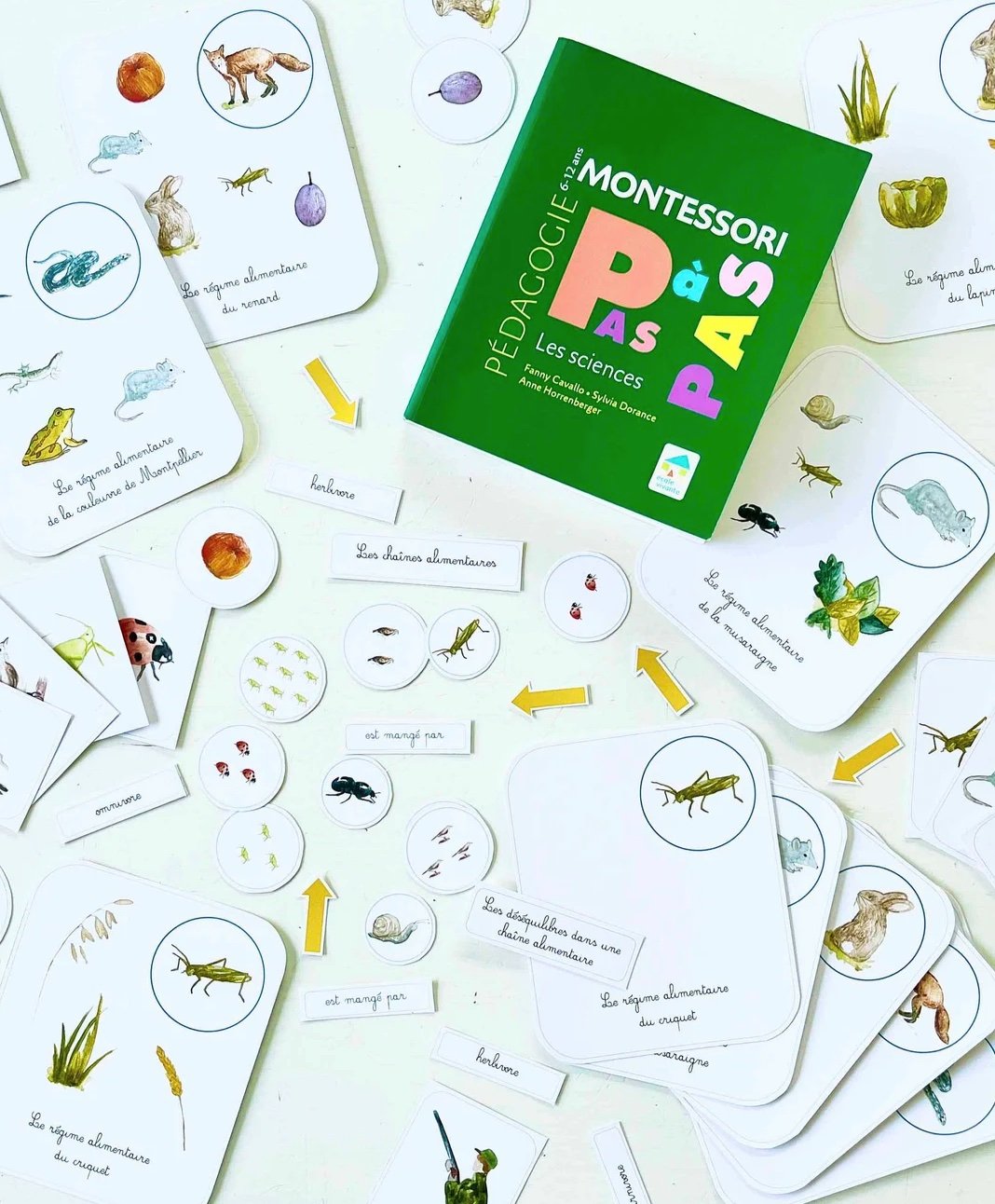 carte pedagogique animaux vegetaux ludique