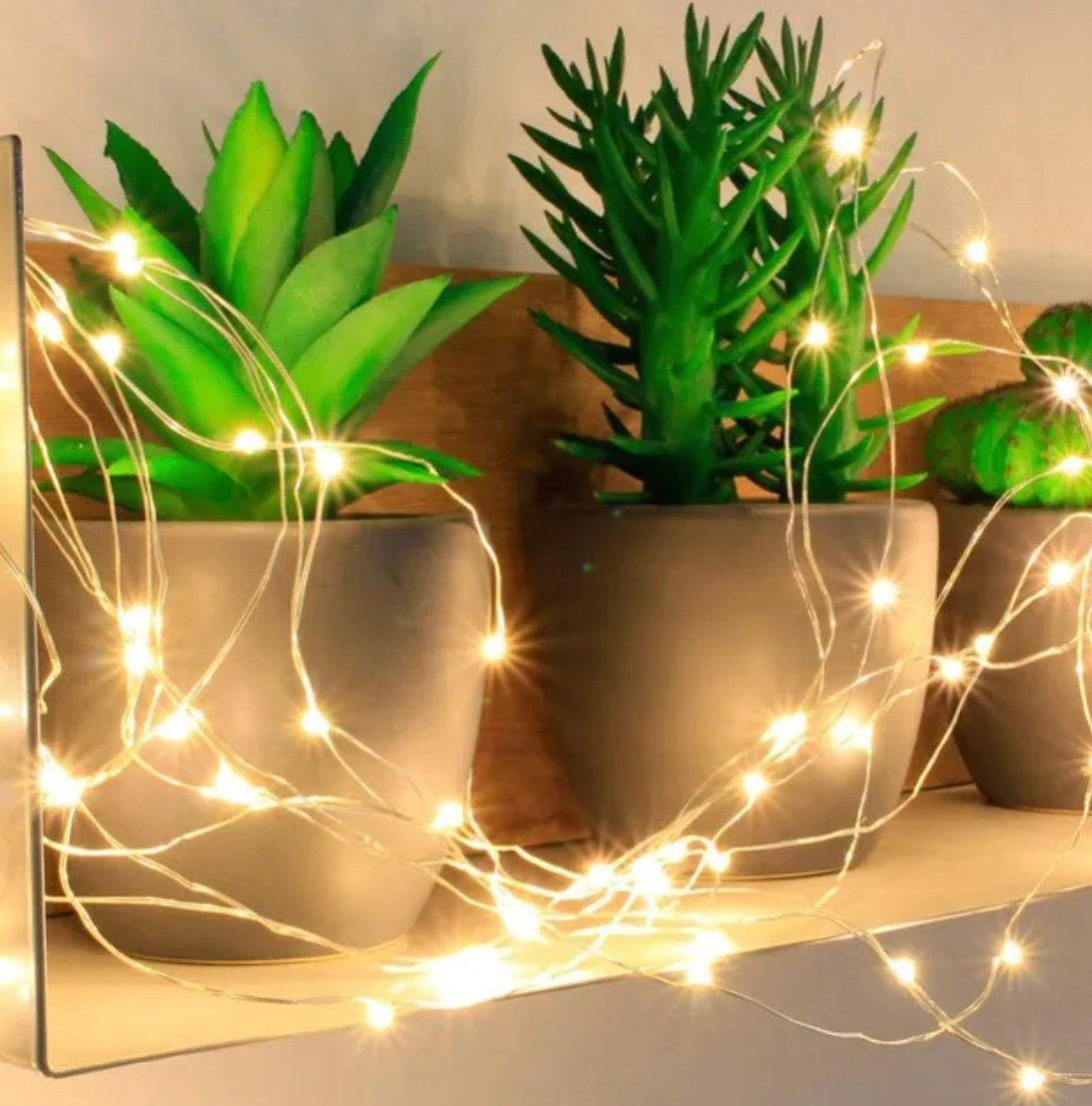 guirlande lumineuse plante verte pot gris beton