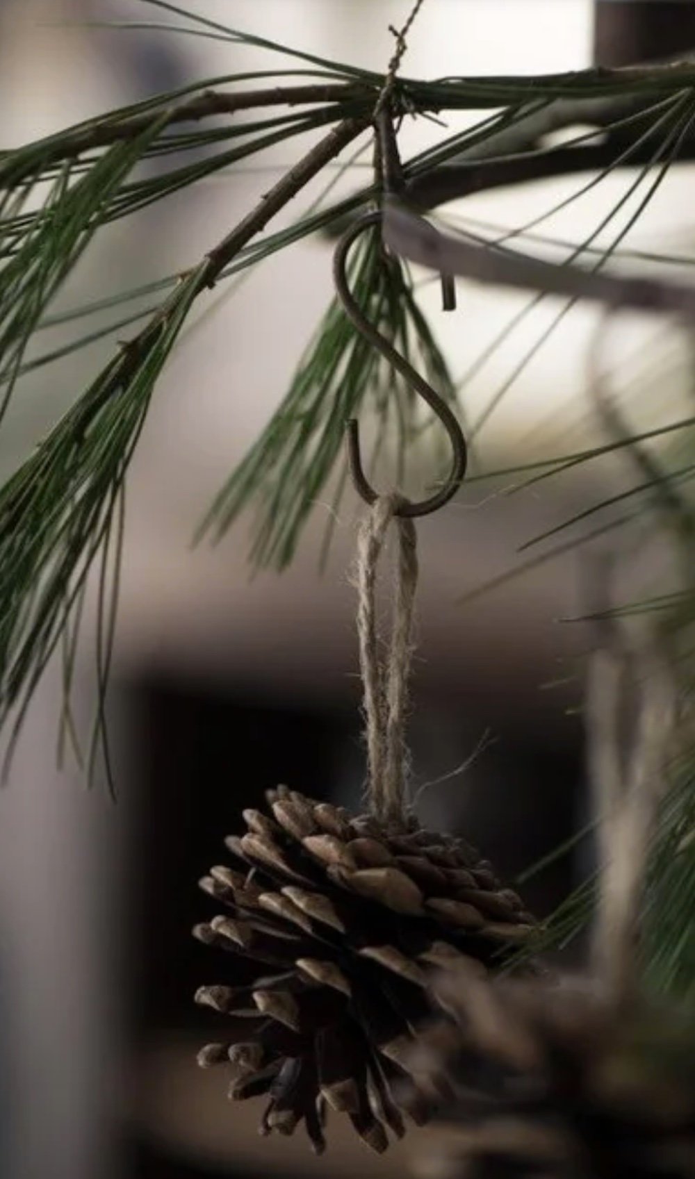 pomme de pin deco rustique marron sapin noel