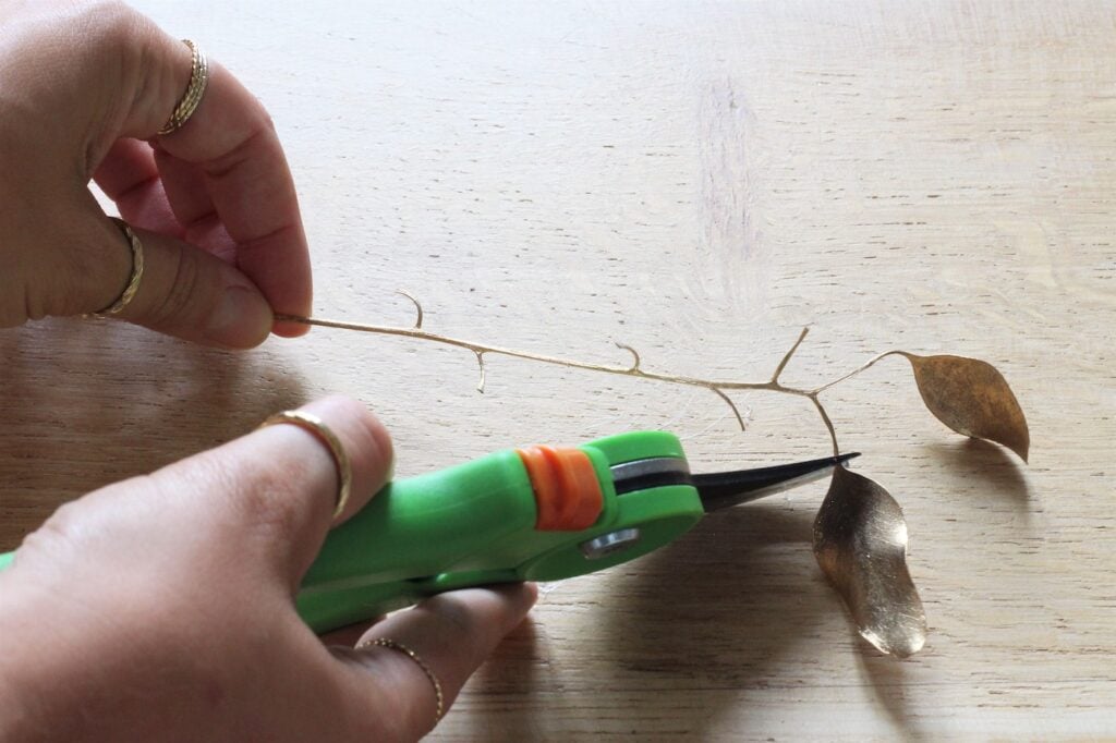 que faire vieux branchage bouquet séché diy upcycling déco