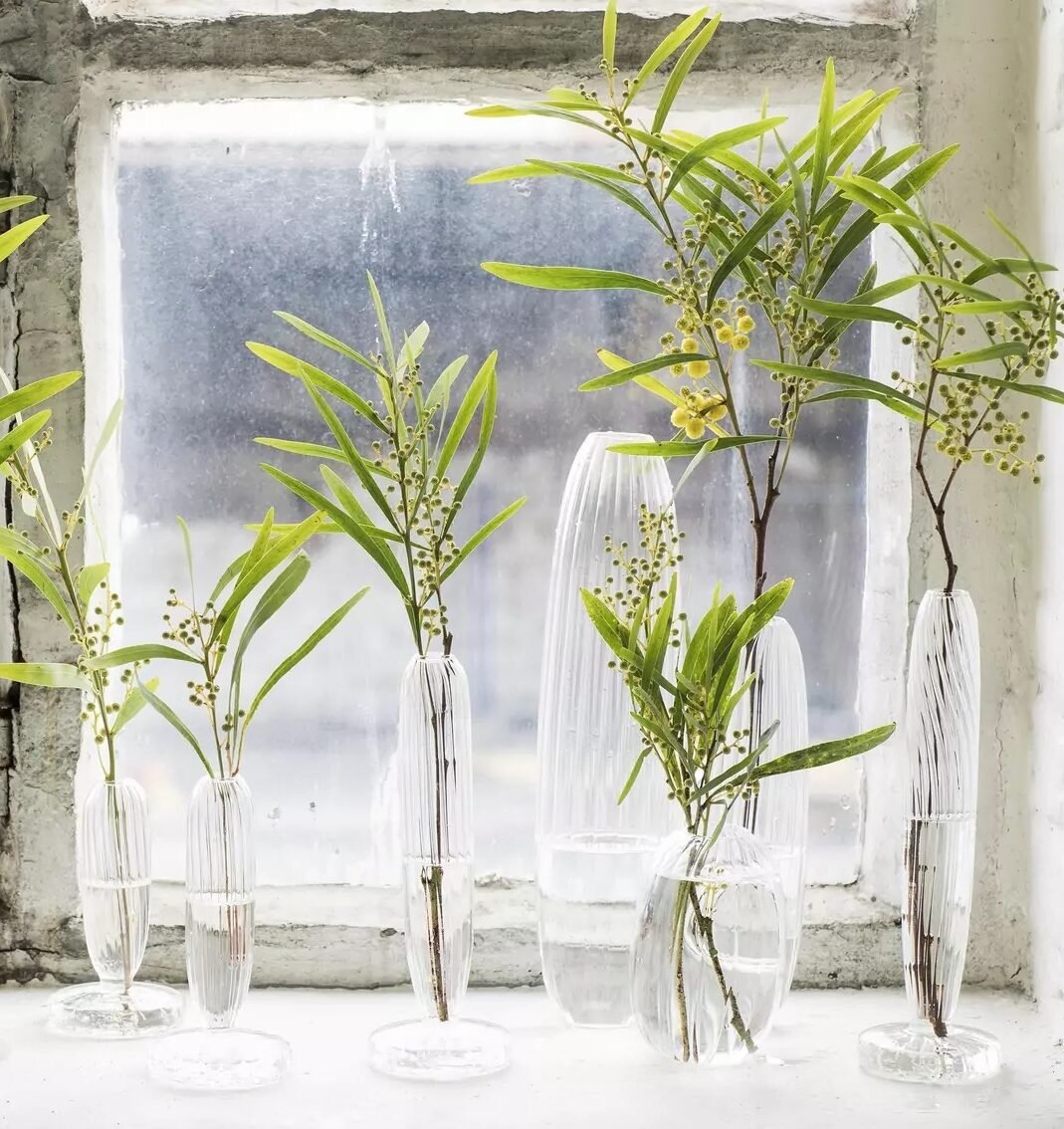 vase verre cristal plante verte fin oval long nature