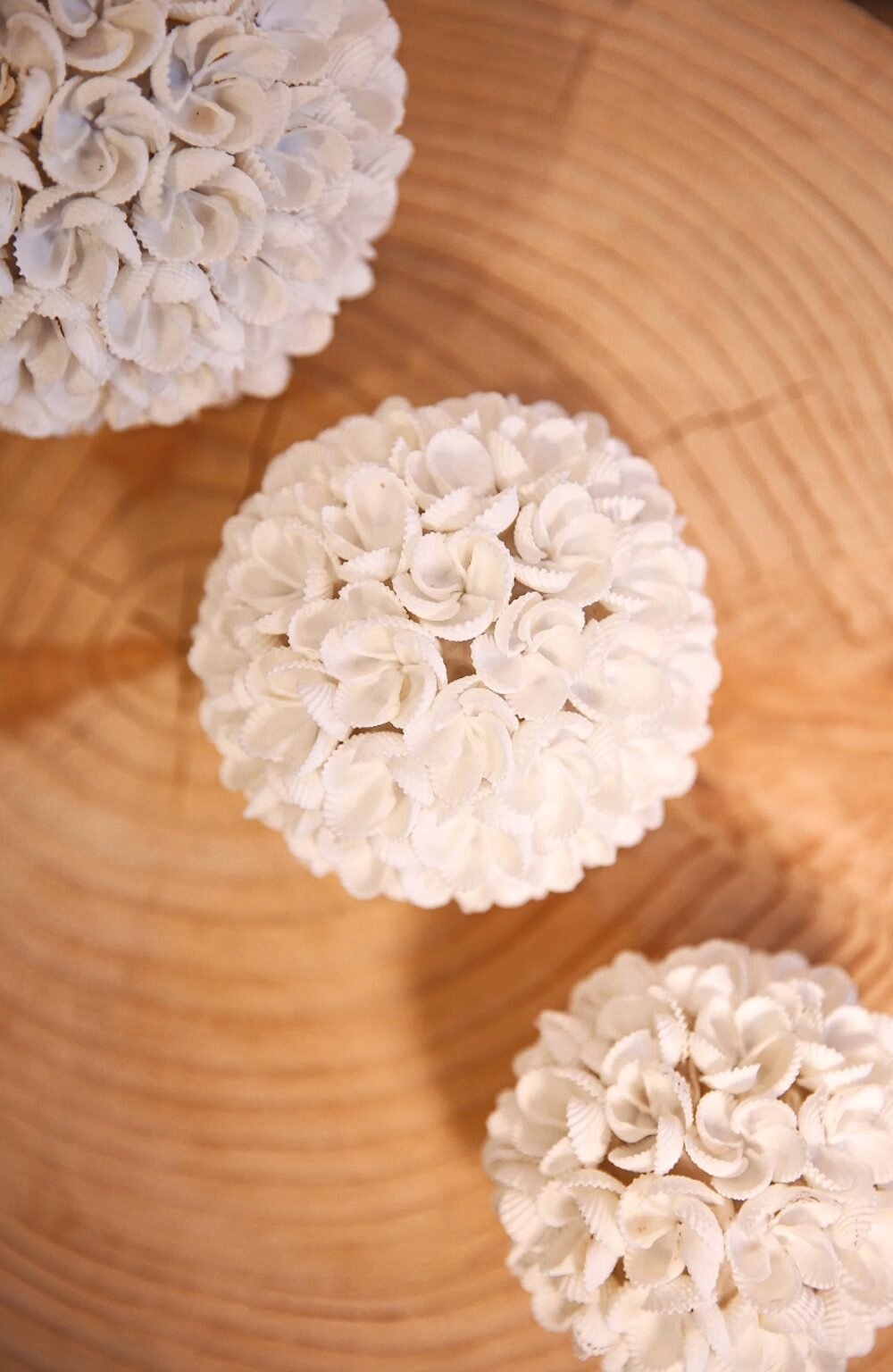 deco ronde coquillage blanc