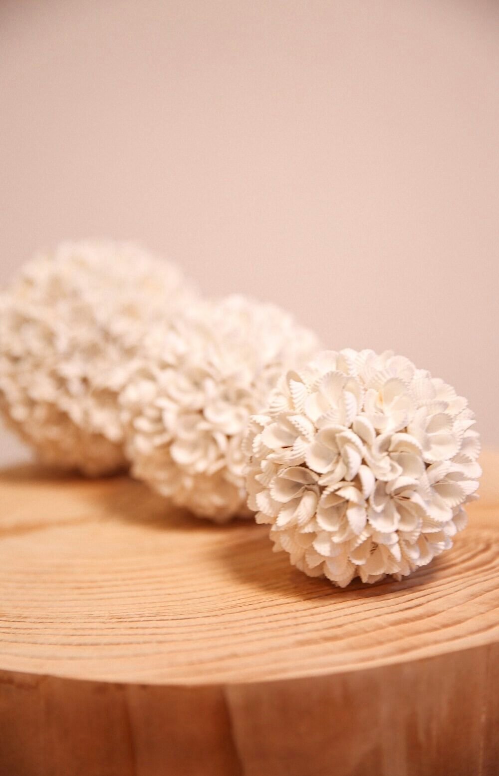 deco ronde coquillage blanc table ronde