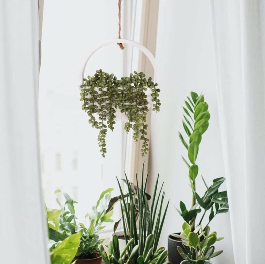 pot suspension plante verte deco nature