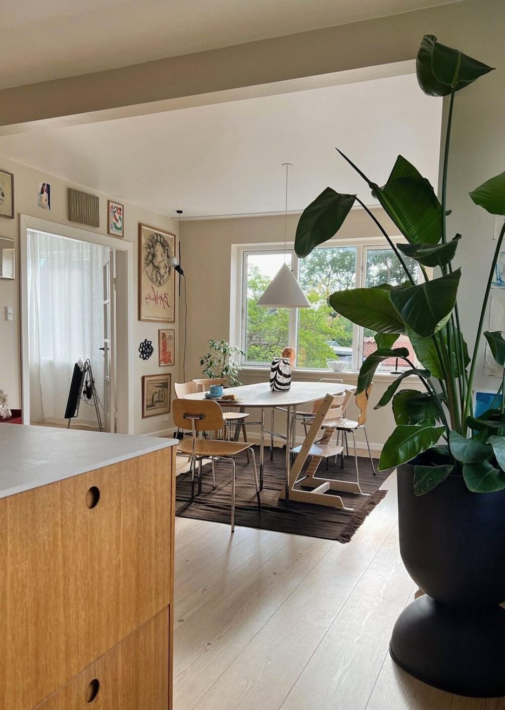 salle a manger table bois plante verte