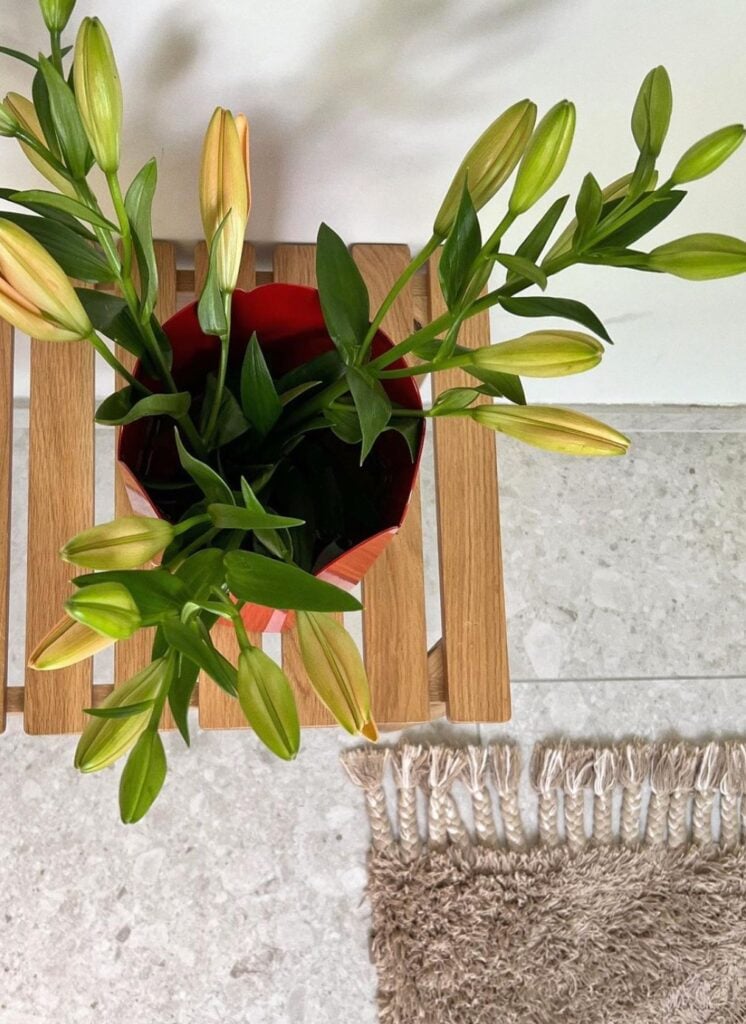 salle de bain tabouret bois tapis taupe a frange