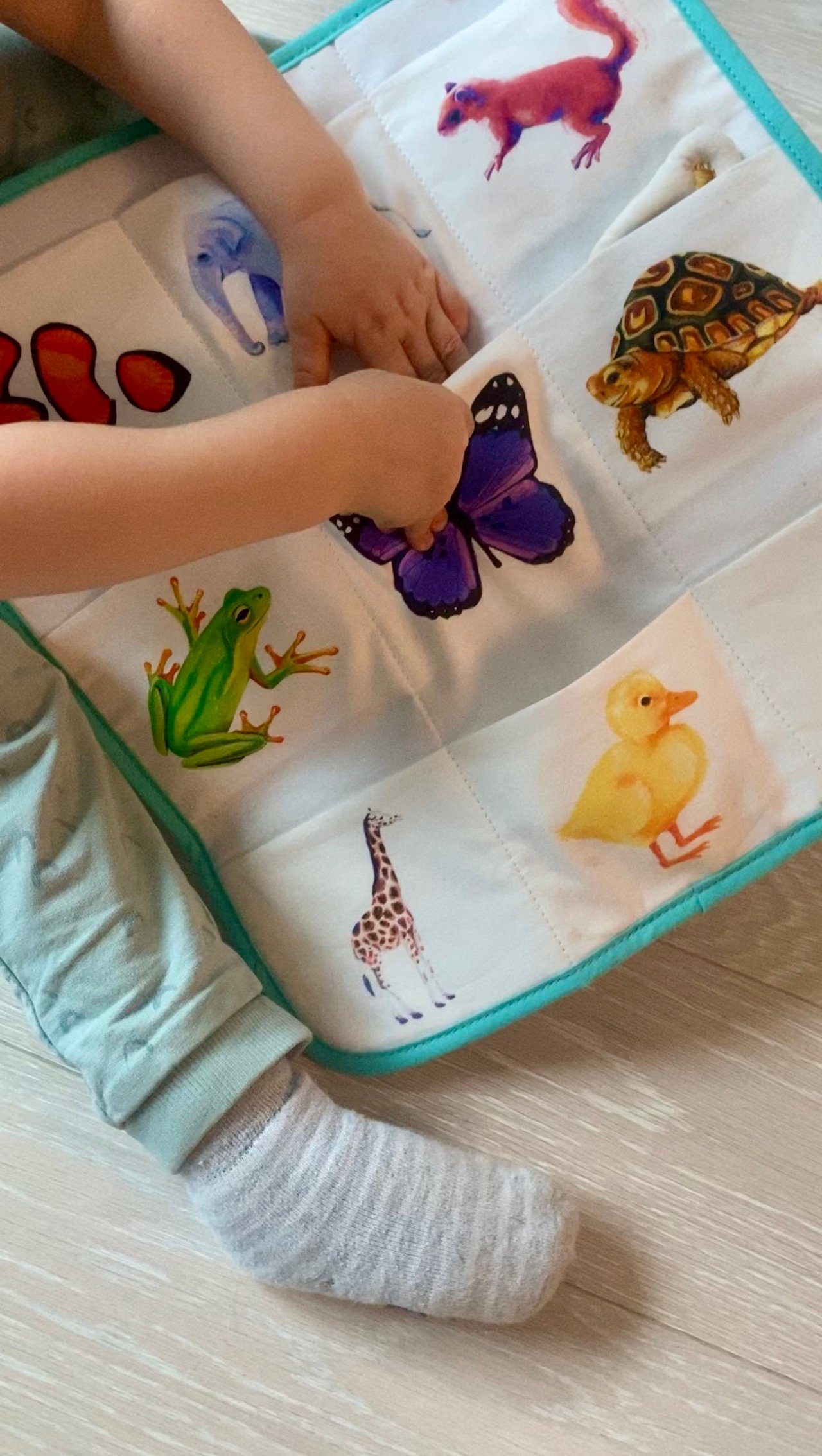 âge bébé reconnait animaux son