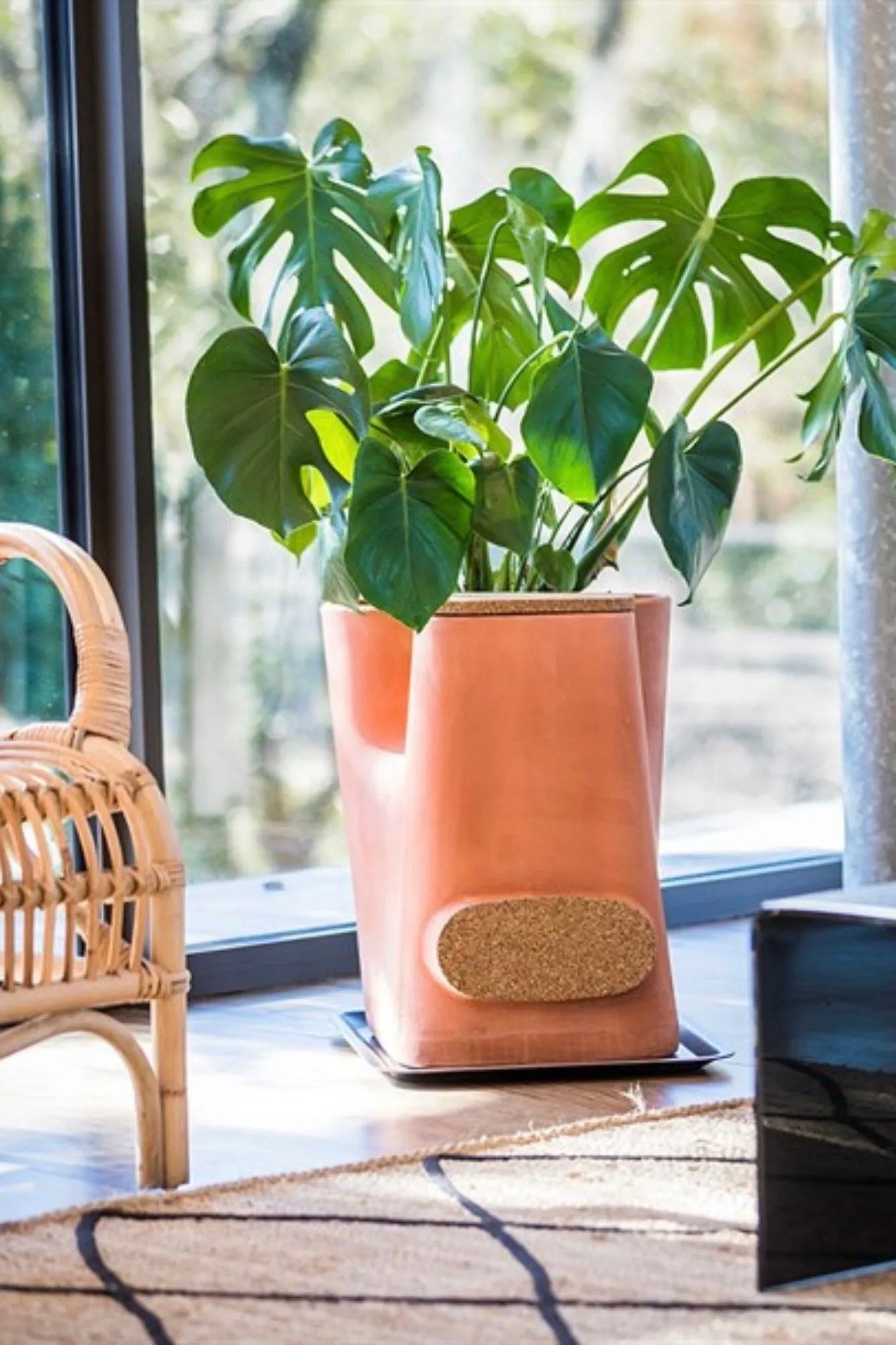 pot de fleurs original bio monstera terre cuite