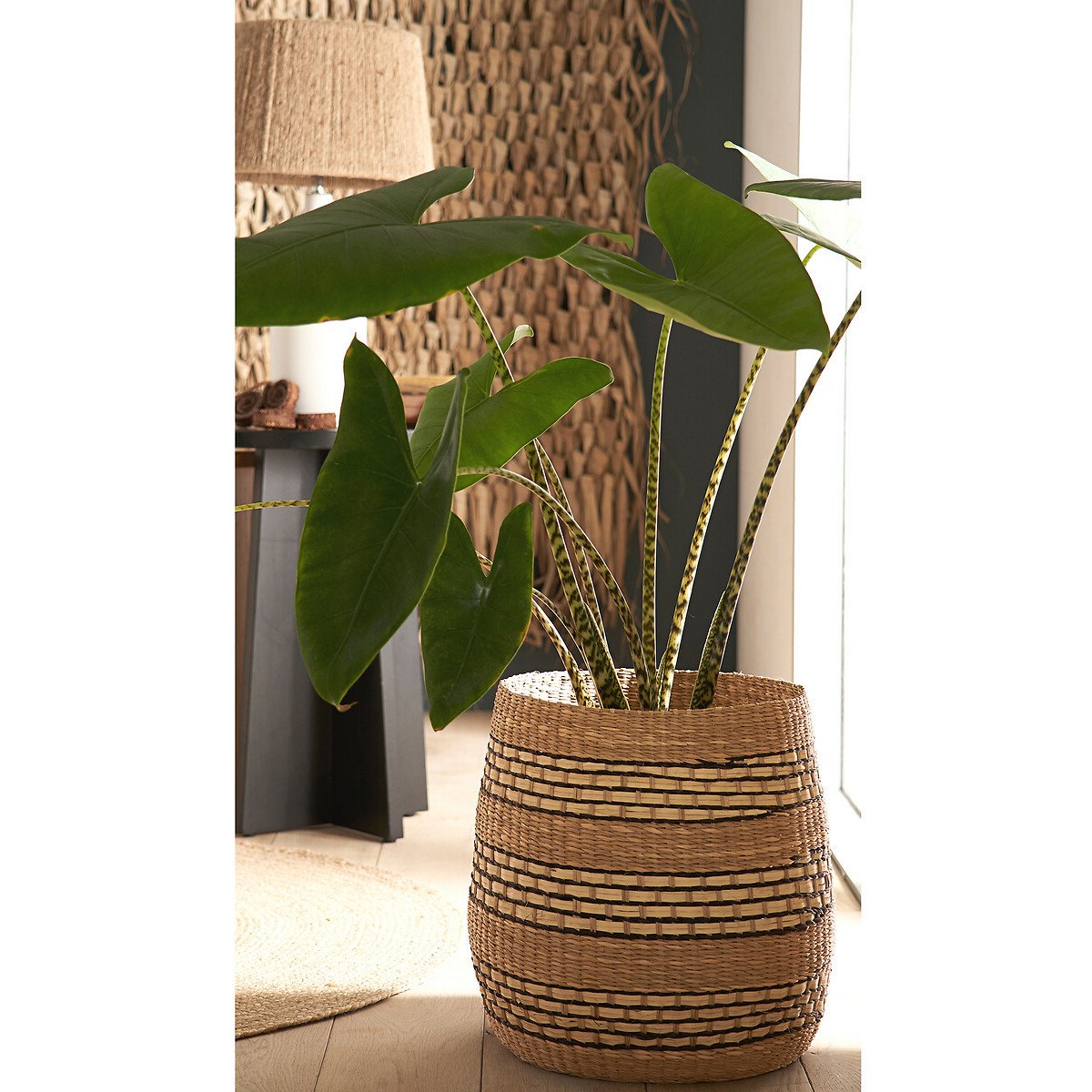 cache pot arbuste panier bohème rotin osier tressé