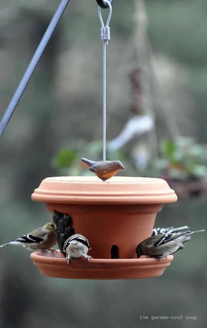 objet détourné fabriquer une mangeoir a oiseaux