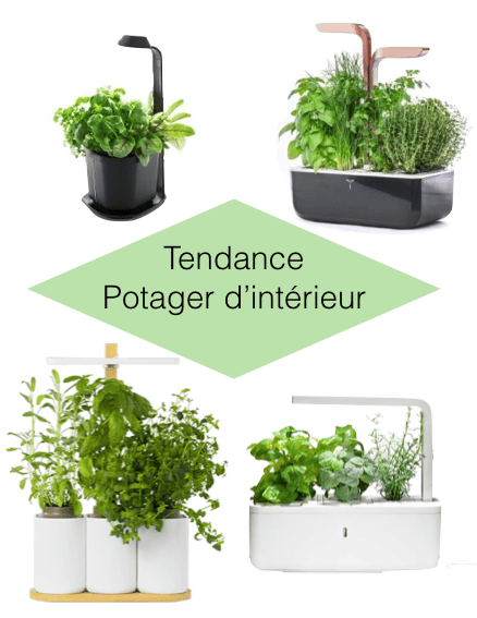 jardiner en appartement potager connecte