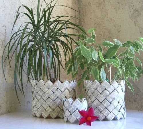 cache pot papier magazine géométrique plante verte design - blog déco - clem around the corner