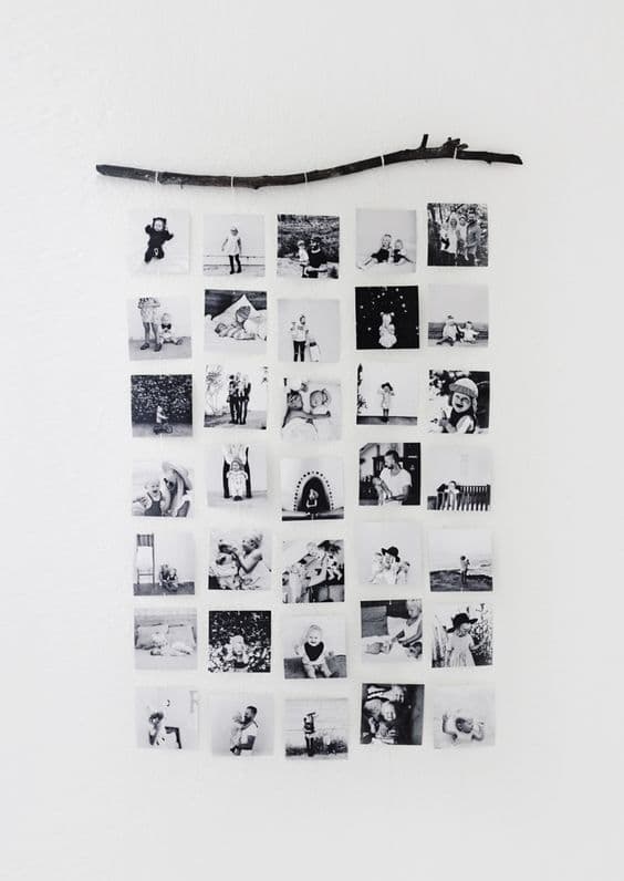 suspendre ses polaroid à une branche