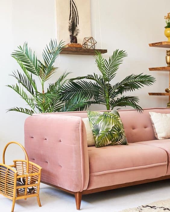 salon retro jungle palmier osier exotique déco