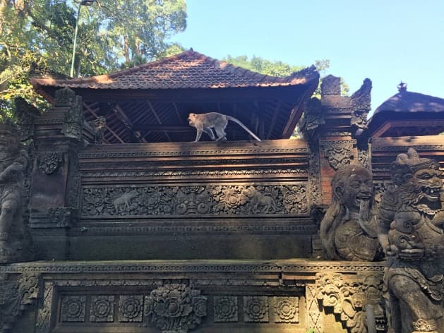 Singe dans la Monkey Forest à Ubud à Bali