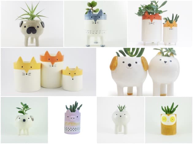 pot de fleurs succulente animal chien chat