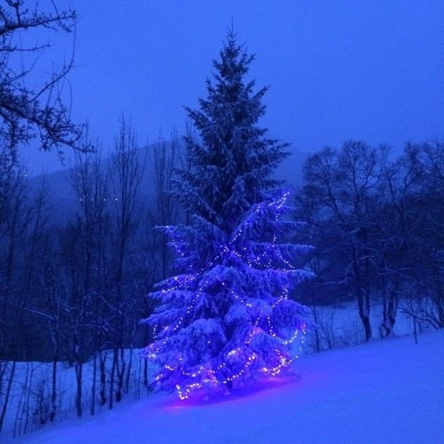 Sapin de noel geant alpes clemaroundthecorner.com outdoor christmas tree.