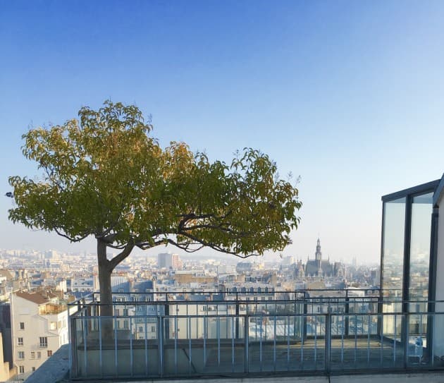 toits de paris clemaroundthecorner