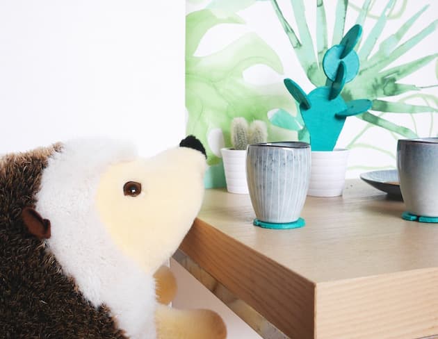 Cactus dessous de verre DIY clematc