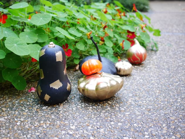 alternative à la citrouille Halloween diy decoration courge peinte