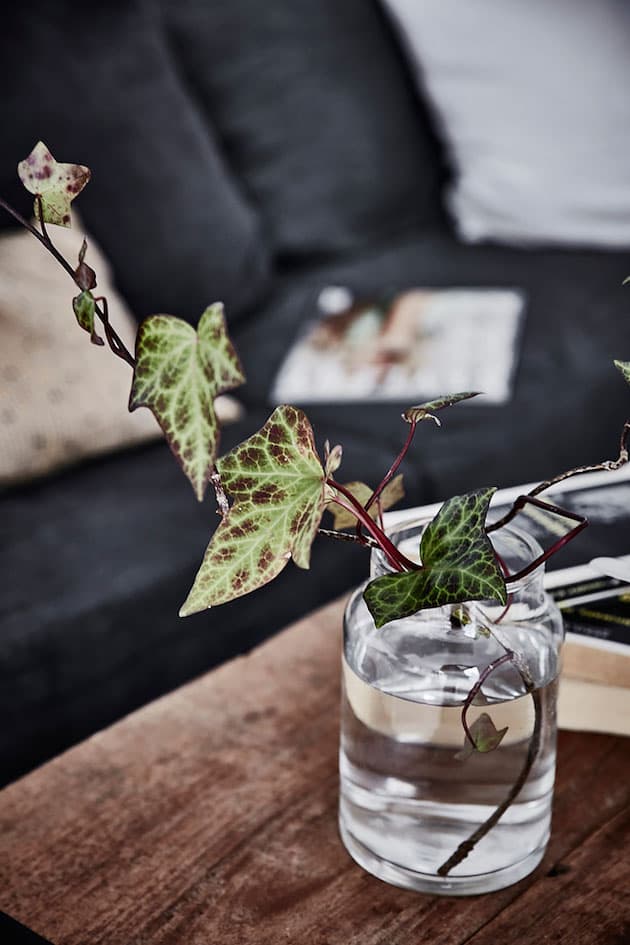 Visite deco petit appartement en longueur style nordique