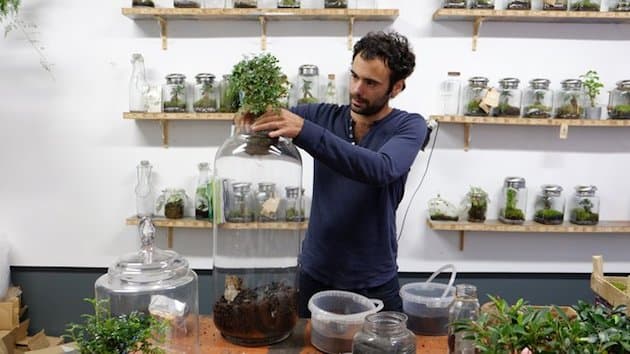 Green Factory les jardins autosuffisants de Noam Levy
