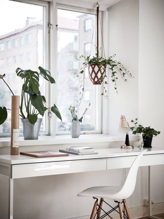 kolectiv design bureau face a la fenetre dsw