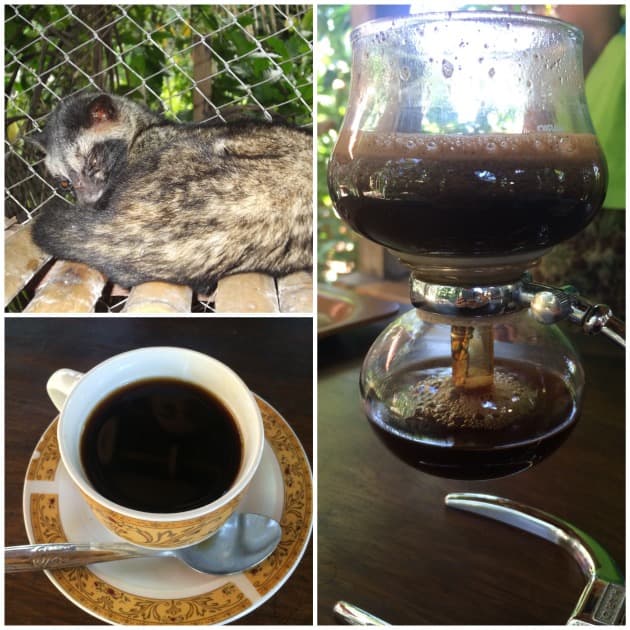 Ancienne photo d’un café luwak à Bali conservée comme souvenir de voyage