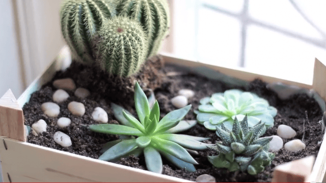 idée déco récup jardin cagette bois plantes - blog déco - clem around the corner