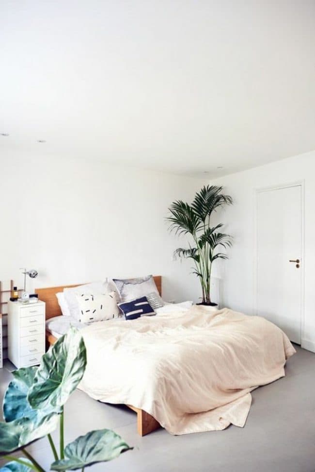 couleur de chambre blanc nature simple sobre