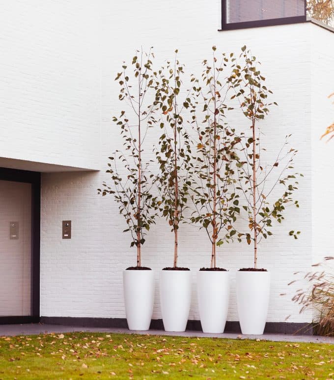 elho pot plante geant rond arbre lumineux avis blog déco clemaroundthecorner