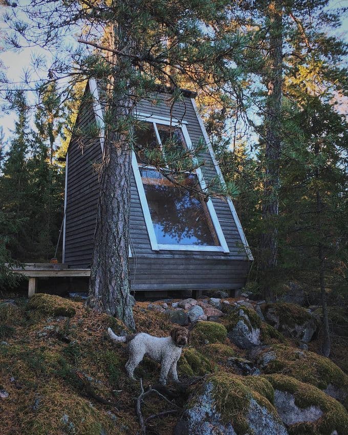 cabane foret velux facade en verre