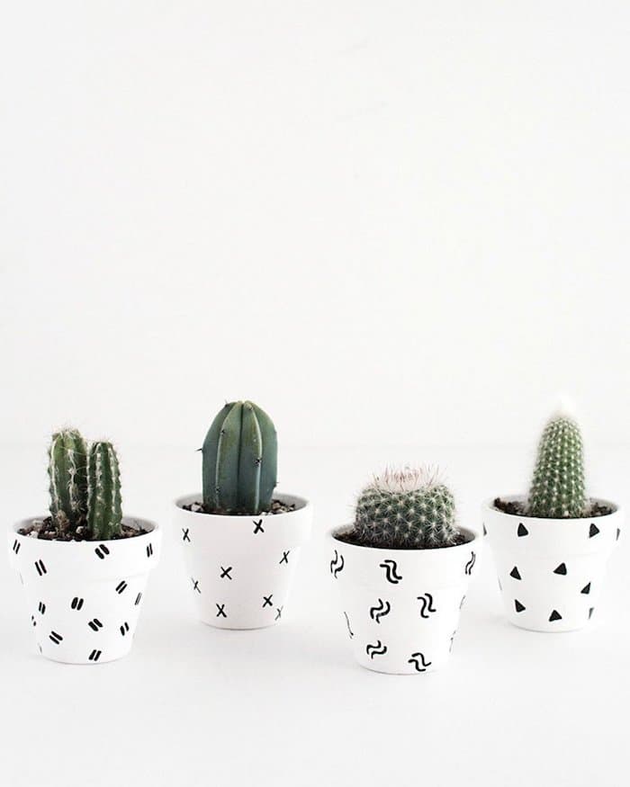 deco bucolique cactus vert pots