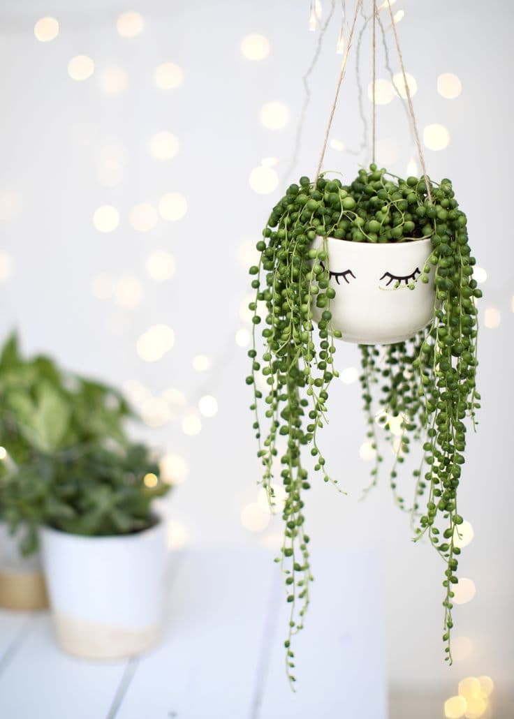 clemaroundthecorner vase porcelaine blanche suspendue plantes vertes