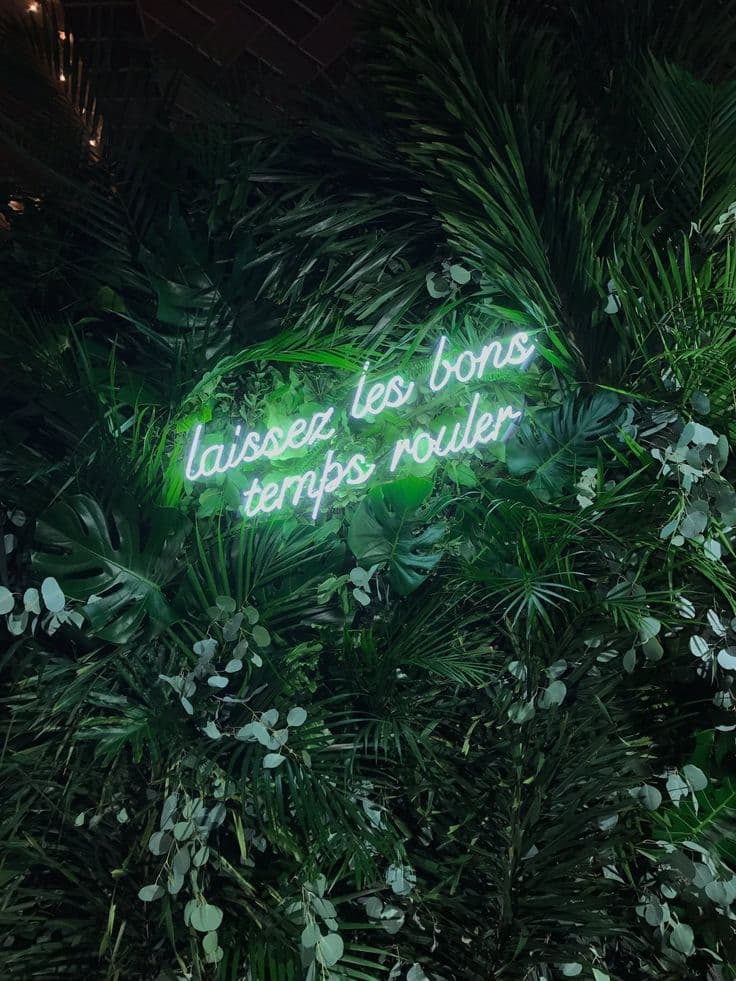 inspiration deco intérieure mur végétal neon blanc