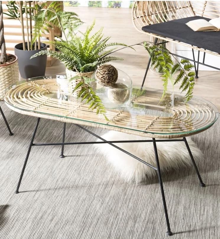 plante verte table basse verre rotin metal