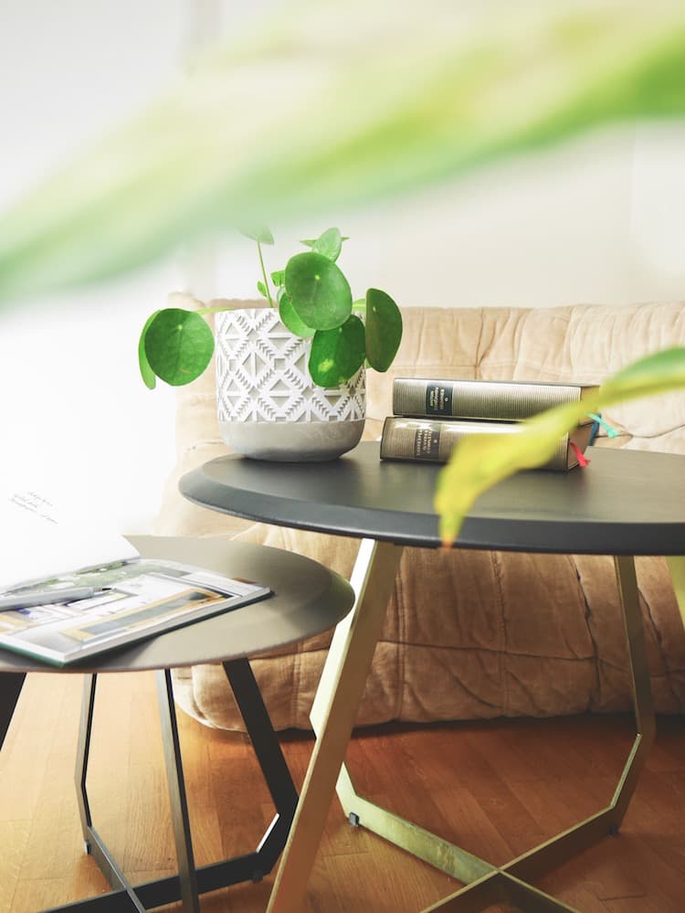 slow living home décoration plante pilea cache pot en ciment - blog déco -clem around the corner