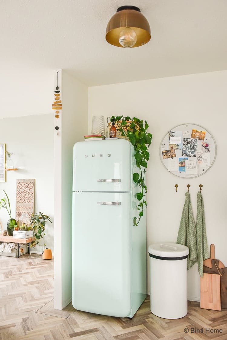 inspi deco intérieure lumineux épurée nature urban jungle frigo vert celadon