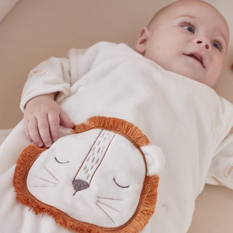 thème chambre bébé naissance garçon lionthème chambre bébé naissance garçon lion