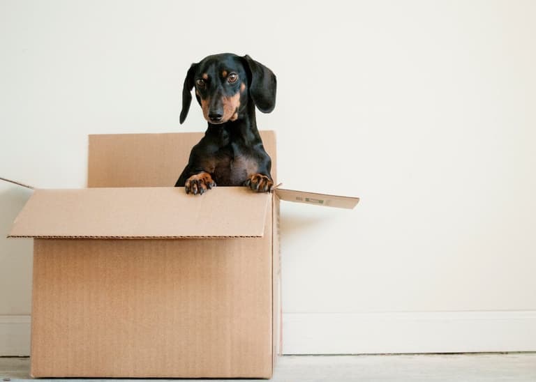homebox avis self stockage garde meuble paris blog deco clemaroundthecorner