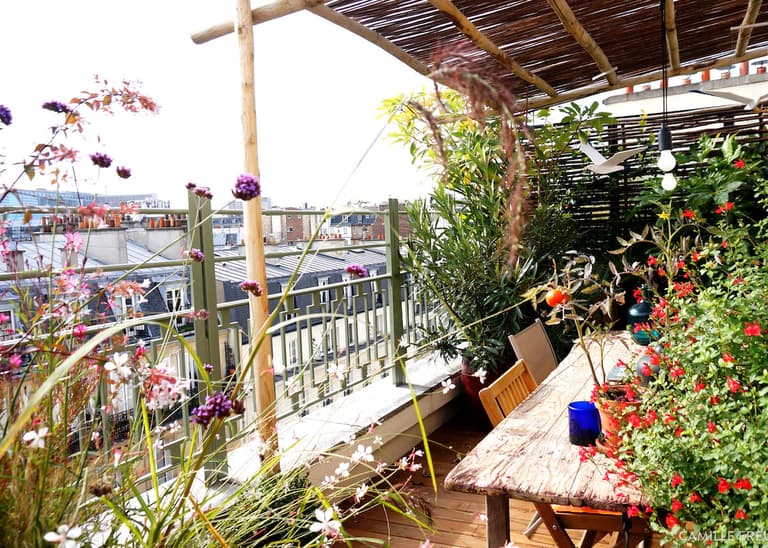 plantes balcon exposition sud paris original fleurs - blog déco - clem around the corner